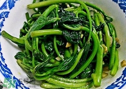 苕尖怎么摘？苕尖怎么擇