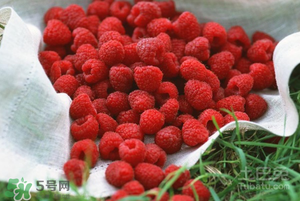 刺泡怎么保存？刺泡保存方法