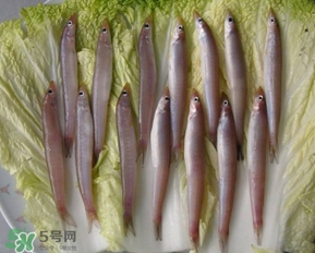 青島面條魚是什么魚？青島面條魚叫什么