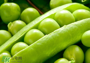 豌豆能放在冰箱嗎？豌豆放冰箱怎么保存？