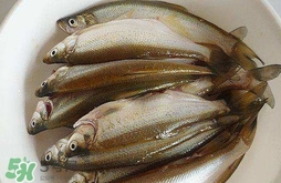白條魚(yú)怎么做好吃？白條魚(yú)怎么吃好吃