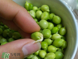 新鮮豌豆發(fā)芽了能吃嗎？豌豆發(fā)芽了還能吃嗎？