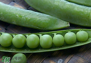 剝好的豌豆怎么保存？剝好的豌豆米怎么保存？