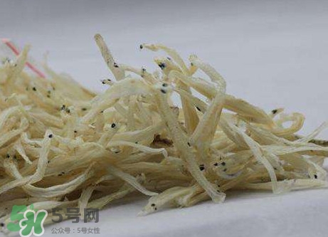 面條魚有什么營養(yǎng)？面條魚營養(yǎng)價值