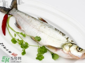 白條魚(yú)怎么做好吃？白條魚(yú)怎么吃好吃