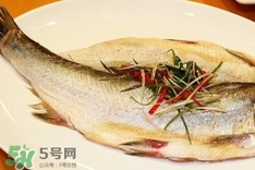 白條魚(yú)怎么做好吃？白條魚(yú)怎么吃好吃