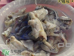 癩蛤蟆能吃嗎？癩蛤蟆可以吃嗎