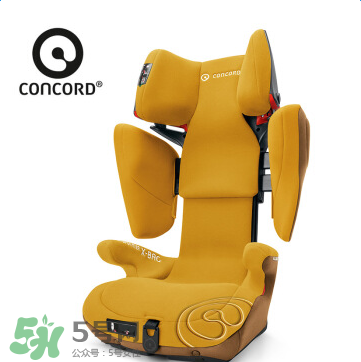 concord中文是什么？concord的中文名字怎么翻譯？