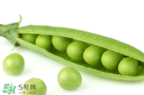 生豌豆有毒嗎？豌豆生吃有毒嗎？