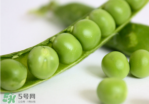 生豌豆有毒嗎？豌豆生吃有毒嗎？