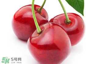 新鮮櫻桃如何保存？新鮮櫻桃能放多久？