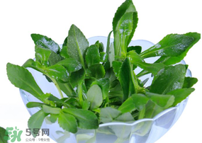 救心菜有毒嗎？救心菜怎么吃沒毒？