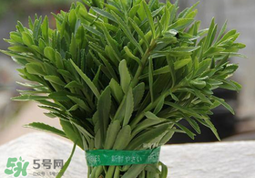 救心菜有毒嗎？救心菜怎么吃沒毒？