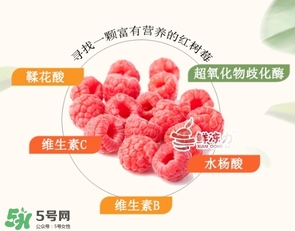 樹莓可以生吃嗎？樹莓怎么吃？