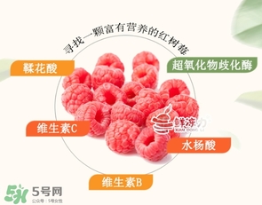 樹(shù)莓怎么保存？樹(shù)莓保存方法