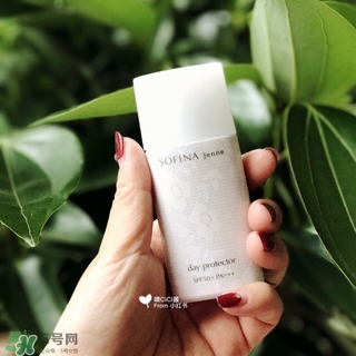 蘇菲娜白蕾絲多少錢？蘇菲娜白蕾絲日本價(jià)格