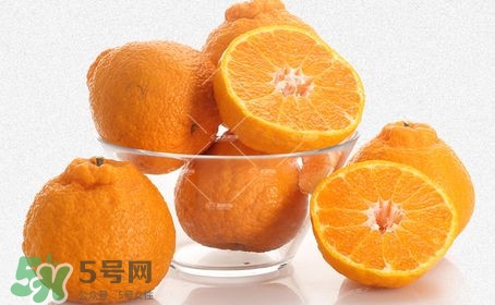 丑八怪水果多少錢一斤？不知火雜柑一斤多少錢