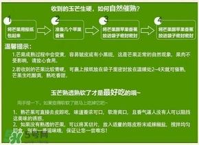 貴妃芒果硬的能吃嗎？貴妃芒果青的能吃嗎