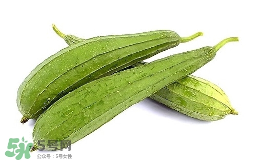 孕婦能吃絲瓜嗎？孕婦能不能吃絲瓜