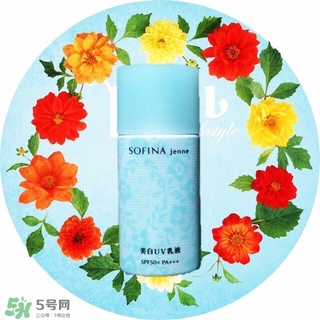 蘇菲娜藍(lán)蕾絲和藍(lán)小花哪個(gè)好？蘇菲娜藍(lán)蕾絲和藍(lán)小花對(duì)比