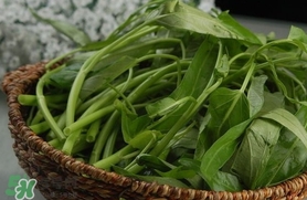 夏天種什么蔬菜？夏天適合種什么蔬菜