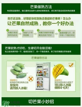 貴妃芒果硬的能吃嗎？貴妃芒果青的能吃嗎