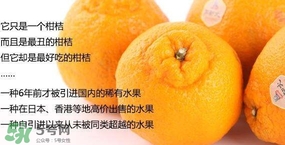 丑八怪水果多少錢一斤？不知火雜柑一斤多少錢