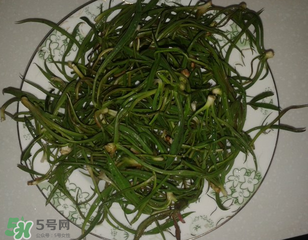 陽溝菜孕婦可以吃嗎？孕婦能吃陽溝菜嗎？