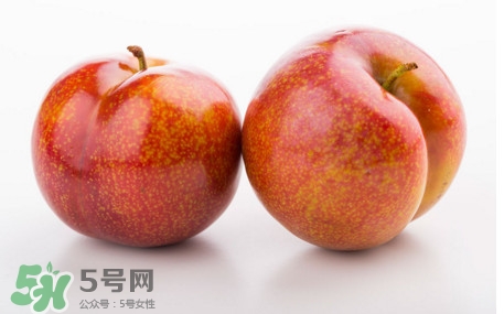 三華李什么時(shí)候有？三華李是幾月份上市