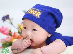 寶寶可以吃小龍蝦嗎？多大的寶寶可以吃小龍蝦呢？
