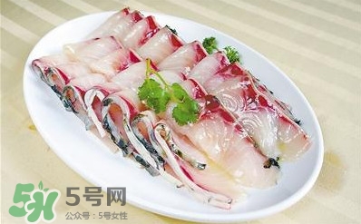 生魚是什么魚？生魚片是什么魚