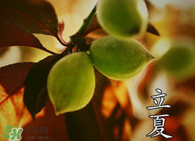 立夏吃什么水果？立夏吃什么水果好？