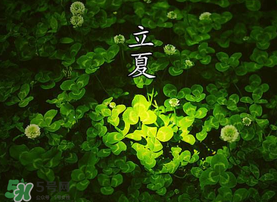 立夏吃什么水果？立夏吃什么水果好？