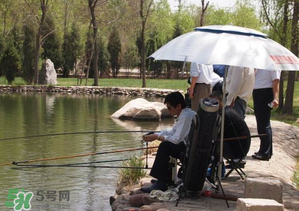立夏好釣魚(yú)嗎？立夏怎么釣魚(yú)？