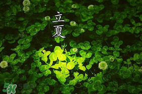 立夏和夏至有什么區(qū)別？立夏和夏至的區(qū)別