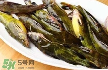 黃辣丁怎么殺？黃辣丁怎么處理