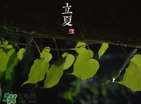 2017年立夏會(huì)下雨嗎？2017年立夏下雨好嗎？