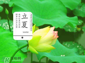 2017年立夏會(huì)下雨嗎？2017年立夏下雨好嗎？