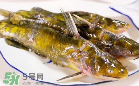 嘎魚孕婦能吃嗎？孕婦可以吃嘎魚嗎