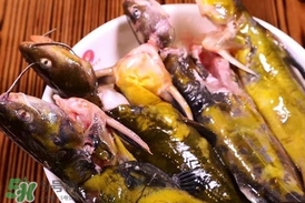 嘎魚孕婦能吃嗎？孕婦可以吃嘎魚嗎
