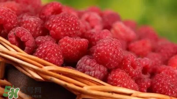 樹莓可以直接吃嗎？樹莓里的小籽能吃嗎？