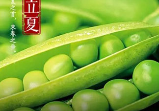 立夏吃什么好？立夏吃什么蔬菜？