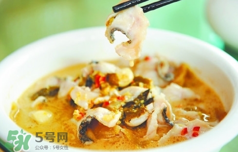 黑魚是發(fā)物嗎？黑魚是不是發(fā)物