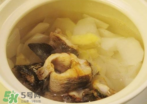 黑魚能和蘿卜一起吃嗎？黑魚能和胡蘿卜同食嗎