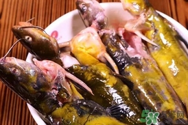 嘎魚是鯰魚嗎？嘎魚是黃辣丁嗎