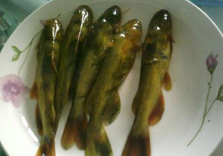 嘎魚是海魚嗎？嘎魚是什么魚