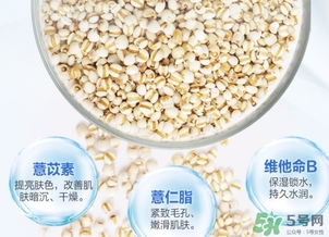 薏仁水可以天天敷嗎？薏仁水幾天敷一次？