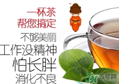 脂流茶成分 脂流茶可以減肥嗎？