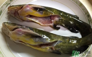 黃辣丁一斤多少錢？黃辣丁價(jià)格