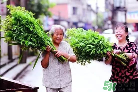 端午節(jié)為什么掛艾草？端午節(jié)掛艾草的由來(lái)